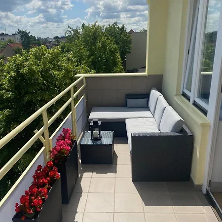 Dr - Aurora سوبوت