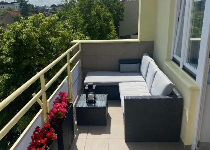 Dr - Aurora ソポト